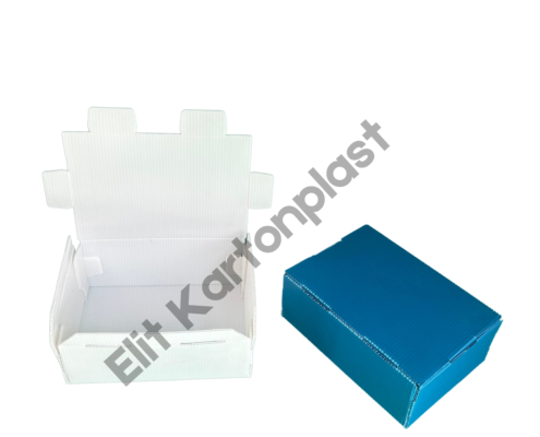 Plastik Altın Kutusu | Oluklu PP Plastik Altın Kutusu Plastik Altın Kutusu | Oluklu PP Plastik Altın Kutusu